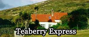 Teaberry Express